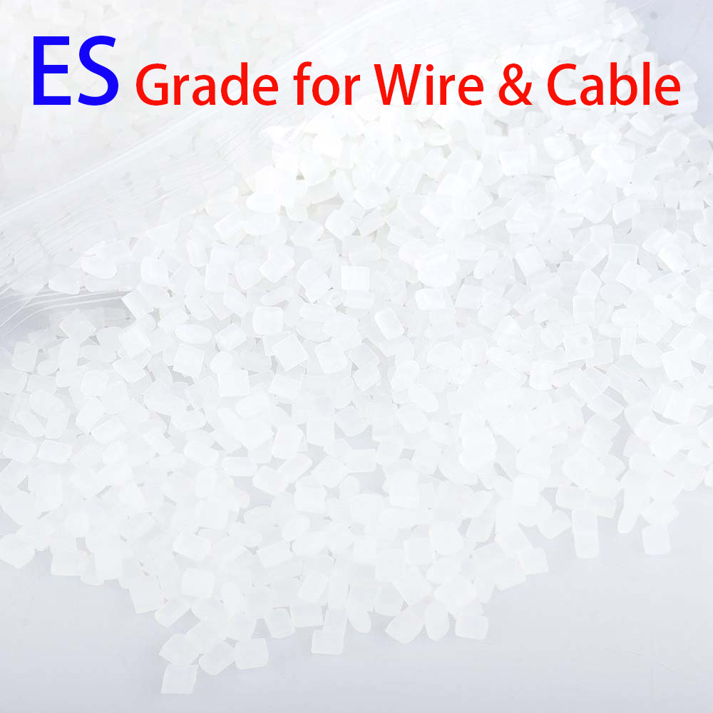 Dongguan Taisu Plastic Co., Ltd.