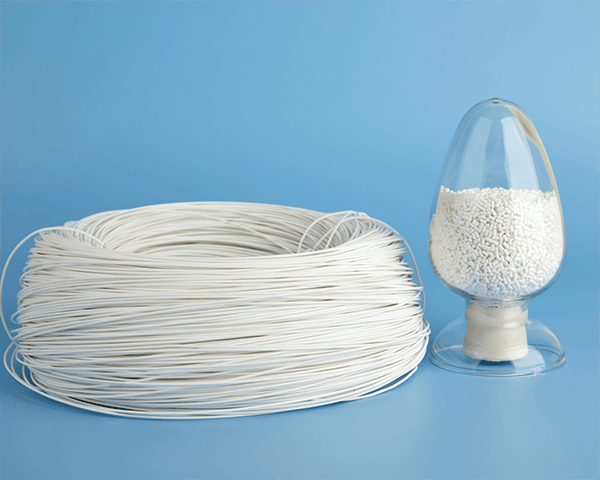 PATH TECHNOLOGY product 2